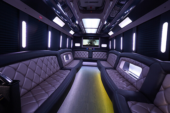 25 passenger party bus